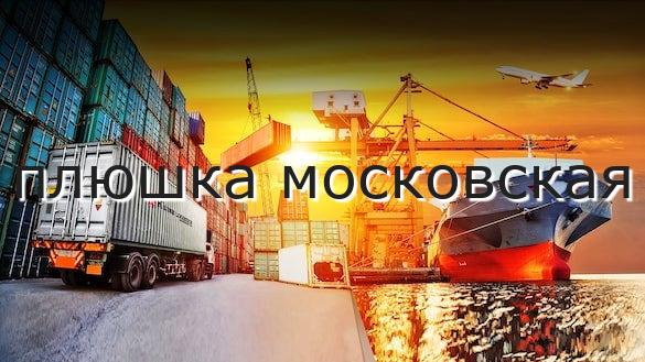 плюшка московская